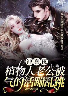 道心无相传奇