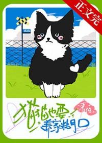 猫猫也要养家糊口